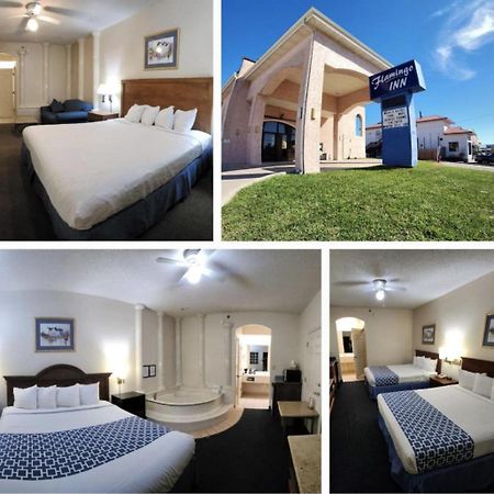 The Flamingo - South Padre Island Hotell Exteriör bild