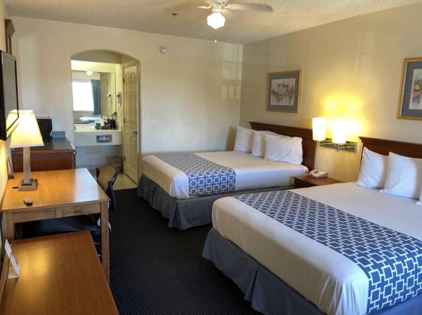 The Flamingo - South Padre Island Hotell Exteriör bild